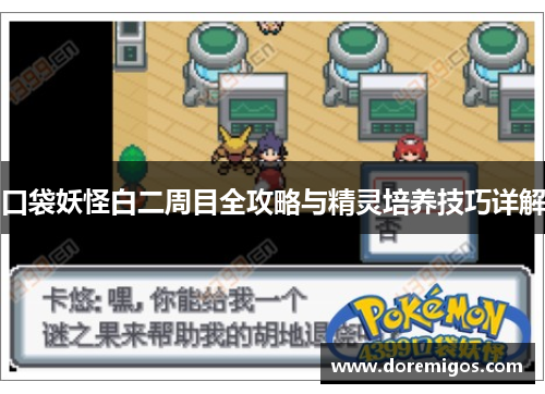 口袋妖怪白二周目全攻略与精灵培养技巧详解