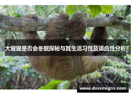 大猩猩是否会冬眠探秘与其生活习性及适应性分析